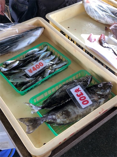 f:id:jjplatoo:20190729213304j:image f:id:jjplatoo:20190729213304j:image