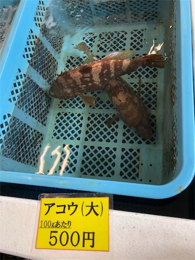 f:id:jjplatoo:20190729214303j:image f:id:jjplatoo:20190729214303j:image
