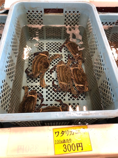 f:id:jjplatoo:20190729214357j:image f:id:jjplatoo:20190729214357j:image