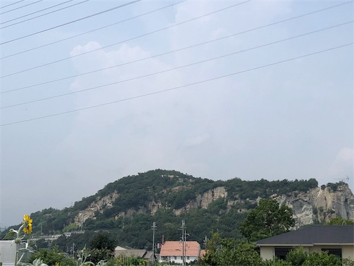 f:id:jjplatoo:20190729224144j:image f:id:jjplatoo:20190729224144j:image