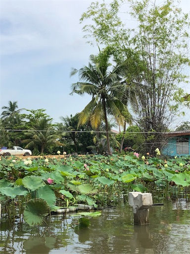 f:id:jjplatoo:20191022183256j:image f:id:jjplatoo:20191022183256j:image