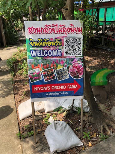 f:id:jjplatoo:20191022185808j:image f:id:jjplatoo:20191022185808j:image