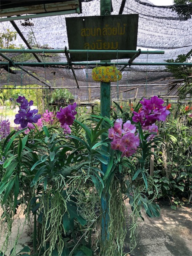 f:id:jjplatoo:20191022190008j:image f:id:jjplatoo:20191022190008j:image