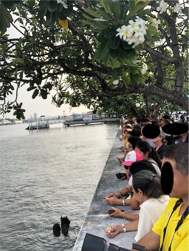 f:id:jjplatoo:20191023192359j:image f:id:jjplatoo:20191023192359j:image