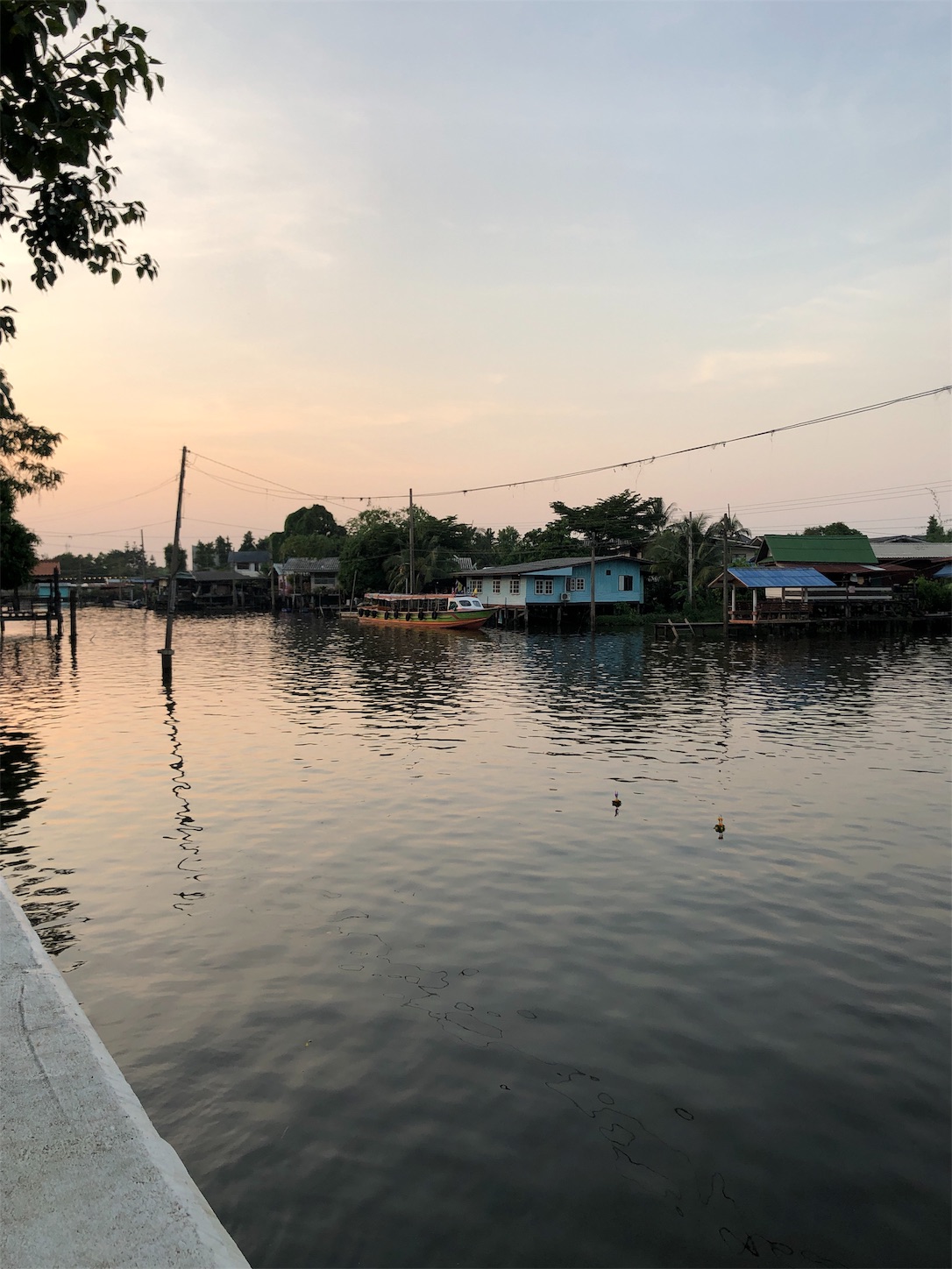 f:id:jjplatoo:20191112182927j:image f:id:jjplatoo:20191112182927j:image