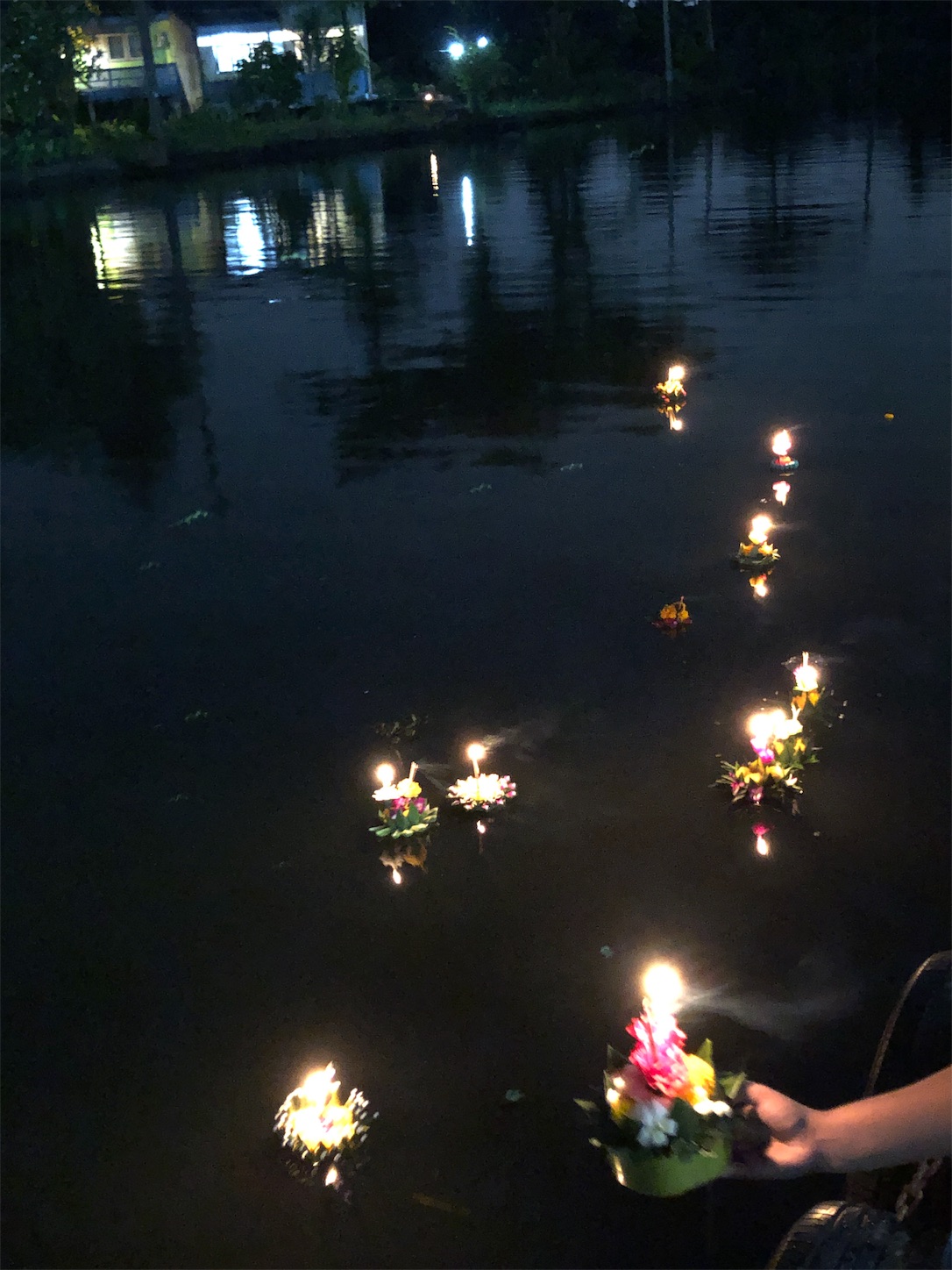 f:id:jjplatoo:20191112190304j:image f:id:jjplatoo:20191112190304j:image