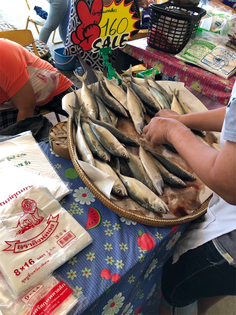 f:id:jjplatoo:20191125124701j:image f:id:jjplatoo:20191125124701j:image