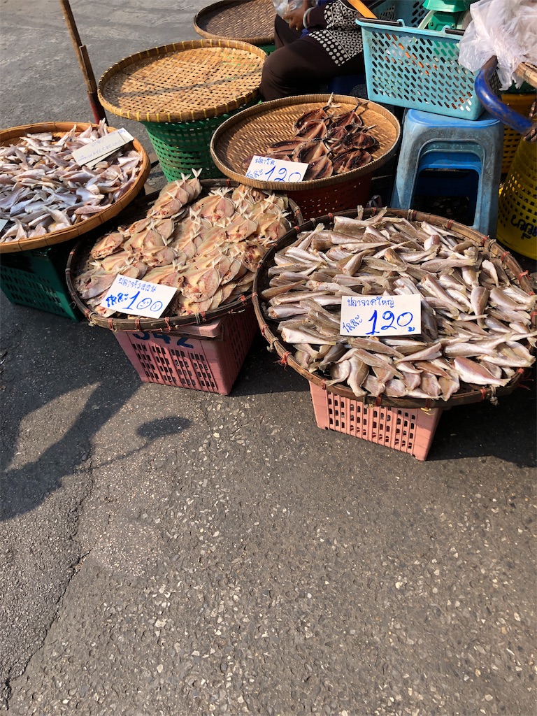f:id:jjplatoo:20191125140403j:image f:id:jjplatoo:20191125140403j:image