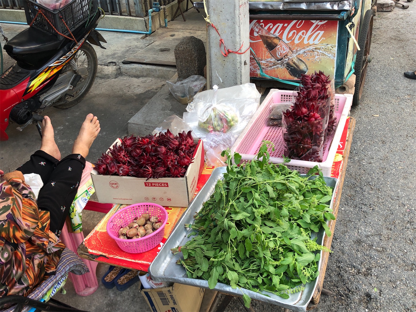 f:id:jjplatoo:20191227200330j:image f:id:jjplatoo:20191227200330j:image