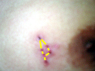 f:id:jjyy:20160504224901j:plain