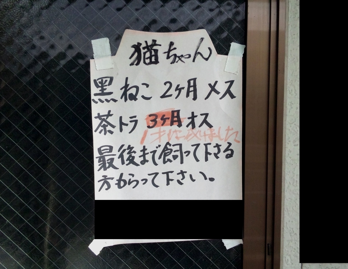 f:id:jjyy:20200406234720j:plain