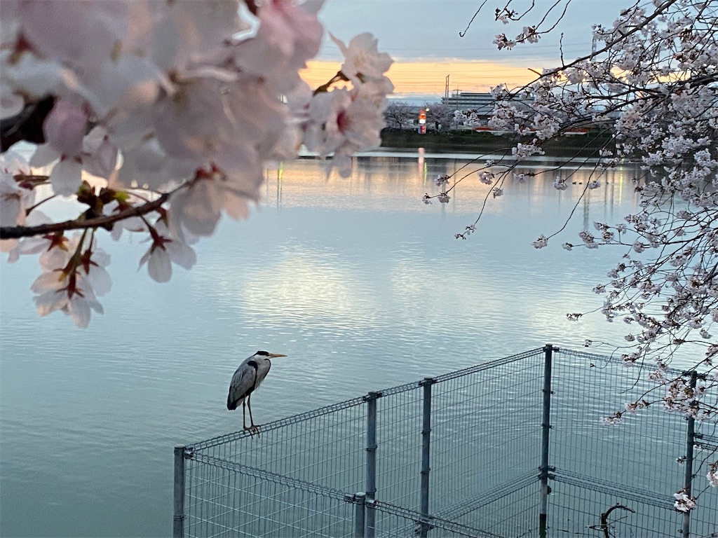 f:id:jkangfu:20220416115434j:image