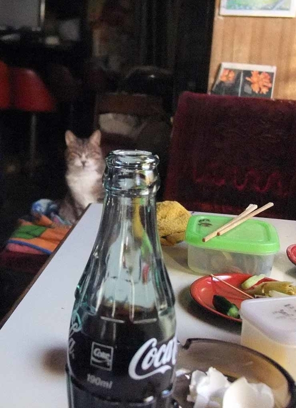 イメージ 15