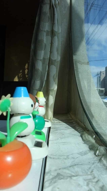 イメージ 10