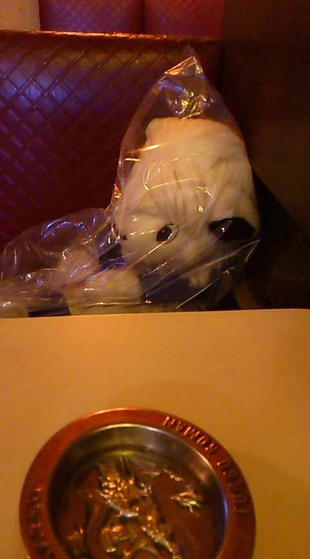 イメージ 36