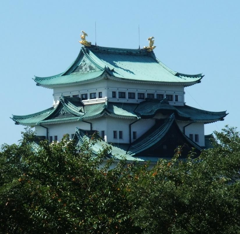 イメージ 8
