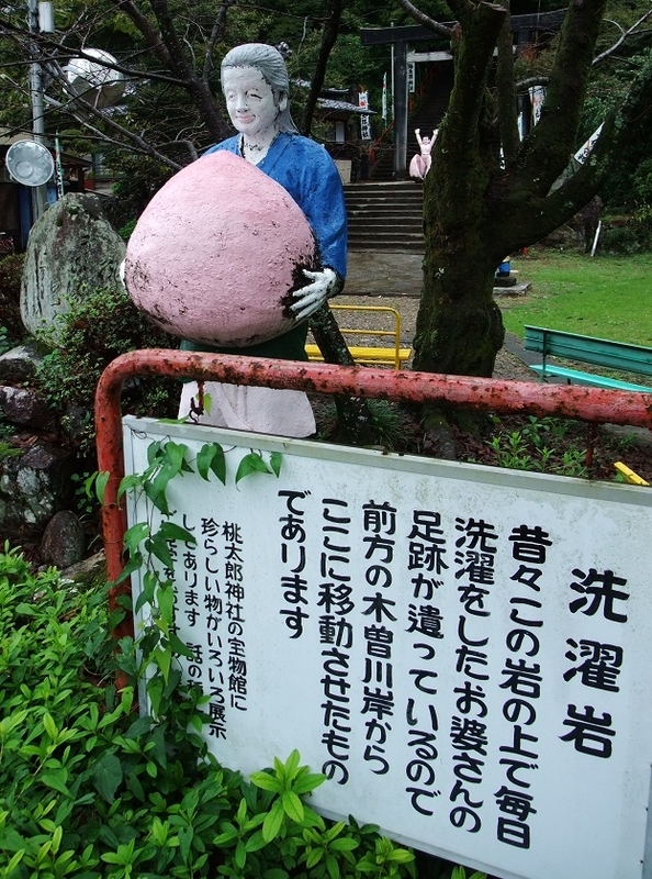 イメージ 5