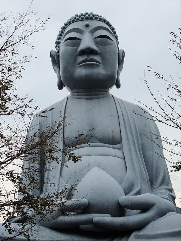 イメージ 4
