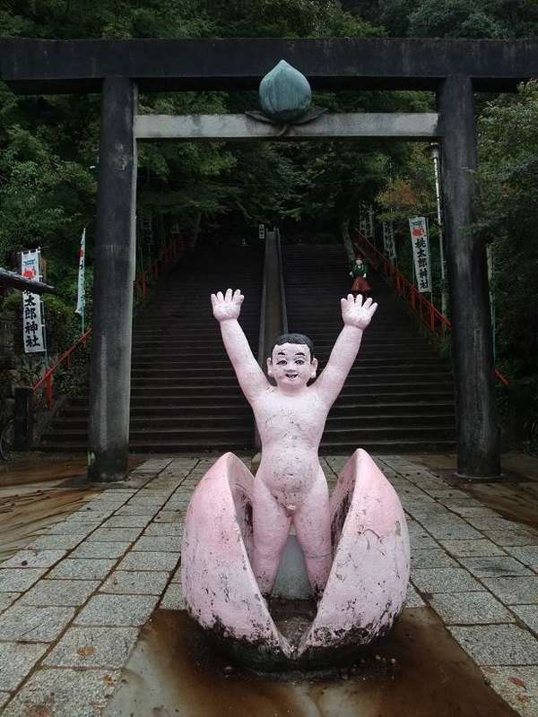 イメージ 1