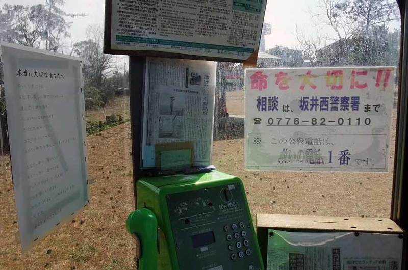 イメージ 7
