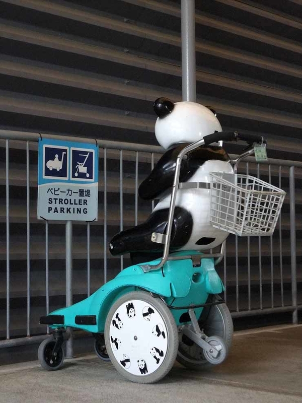 イメージ 12