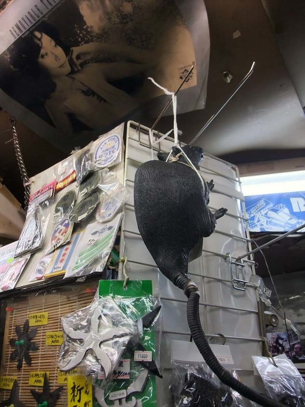 イメージ 12