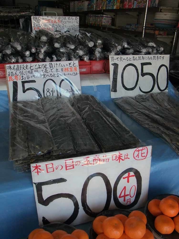 イメージ 13