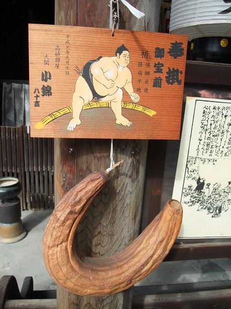 イメージ 5