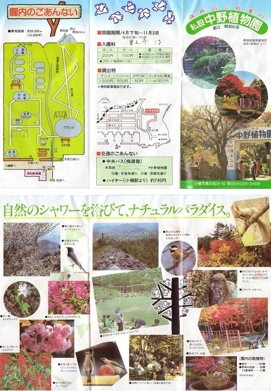 イメージ 14