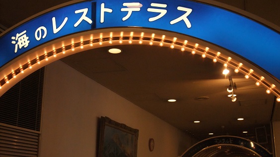 イメージ 14