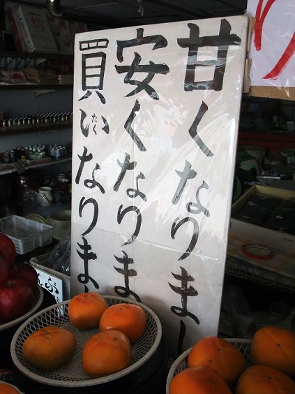 イメージ 11