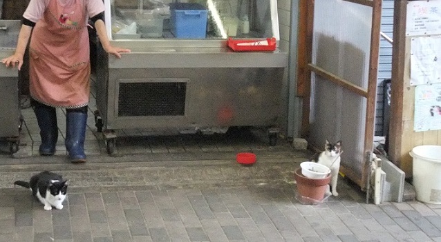 イメージ 6