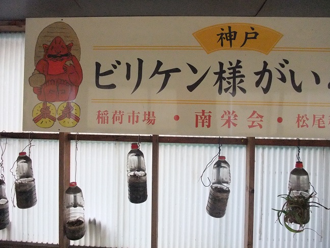 イメージ 10
