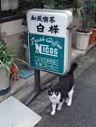 イメージ 19