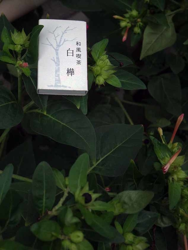イメージ 20