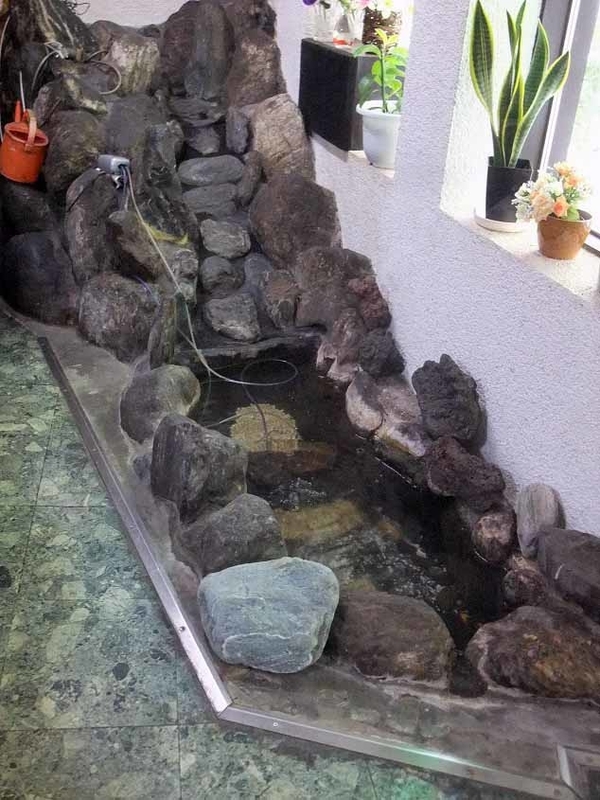 イメージ 10