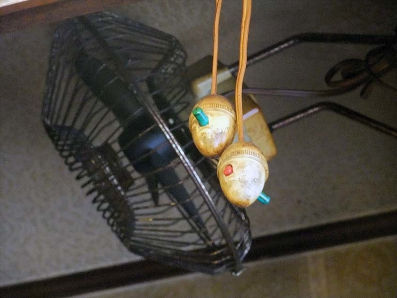 イメージ 7