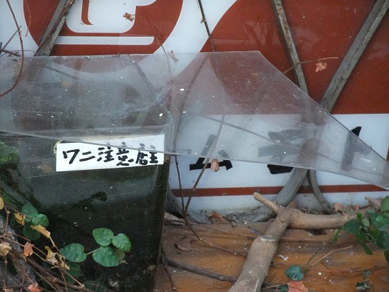イメージ 11