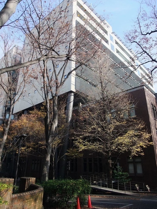イメージ 15