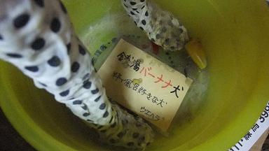 イメージ 9