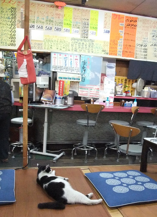 イメージ 9