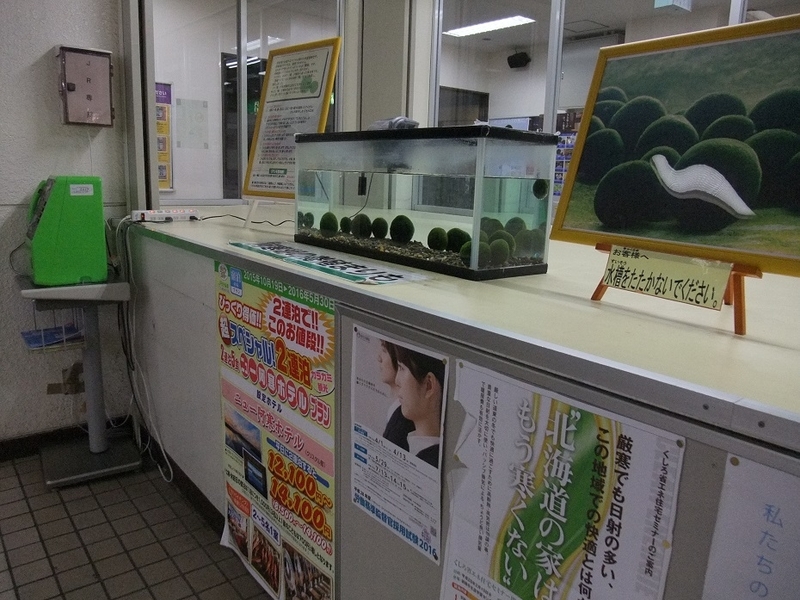 イメージ 10