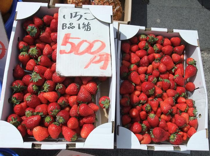 イメージ 5