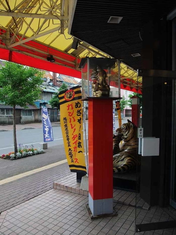 イメージ 8