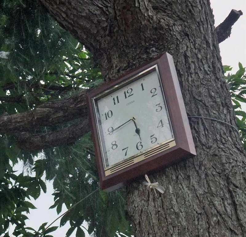 イメージ 14