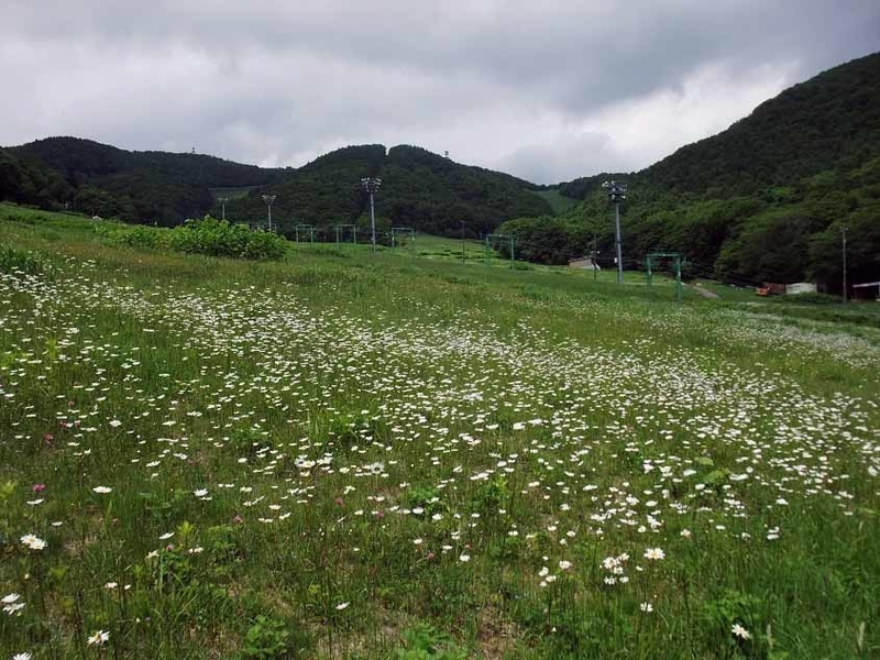 イメージ 14