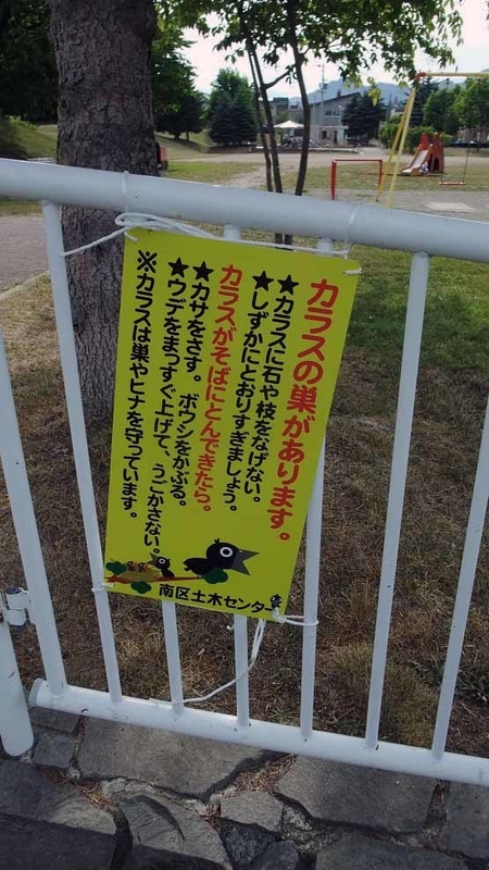 イメージ 16