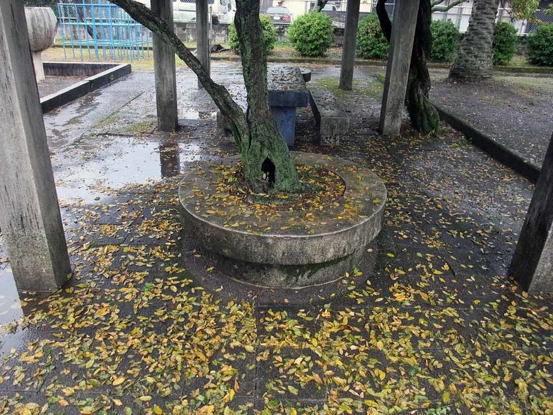 イメージ 16