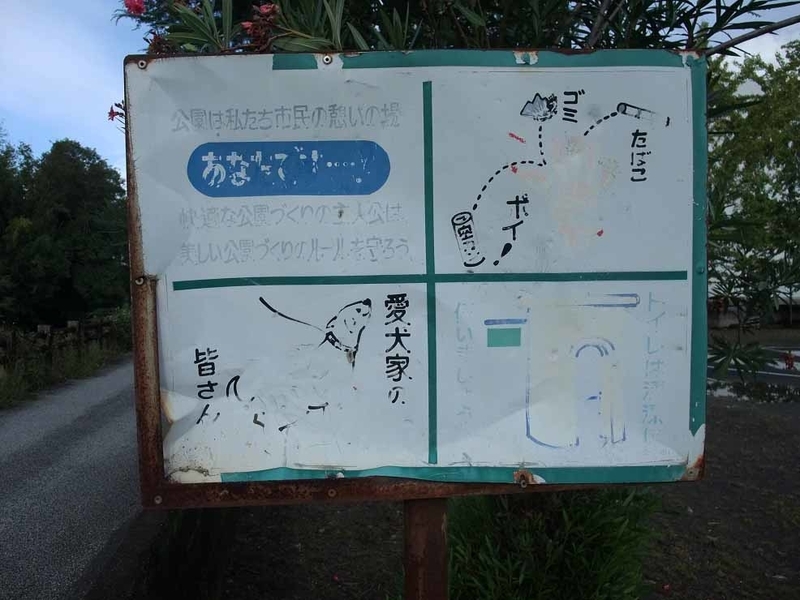 イメージ 25