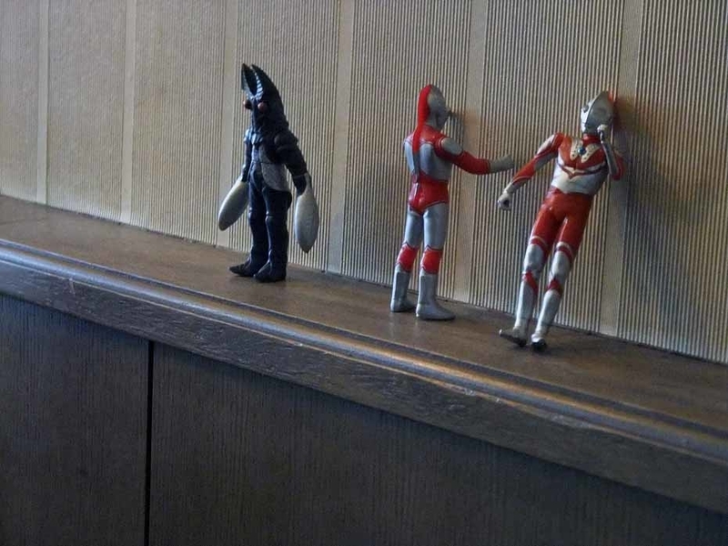 イメージ 7